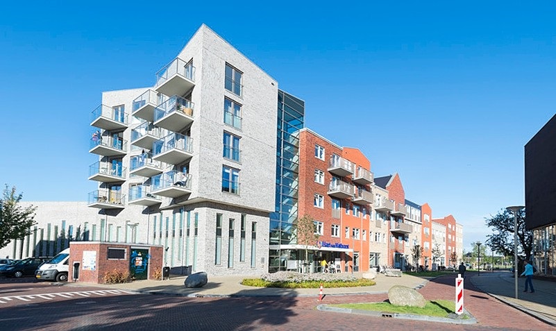 hart van vathorst iets groter 