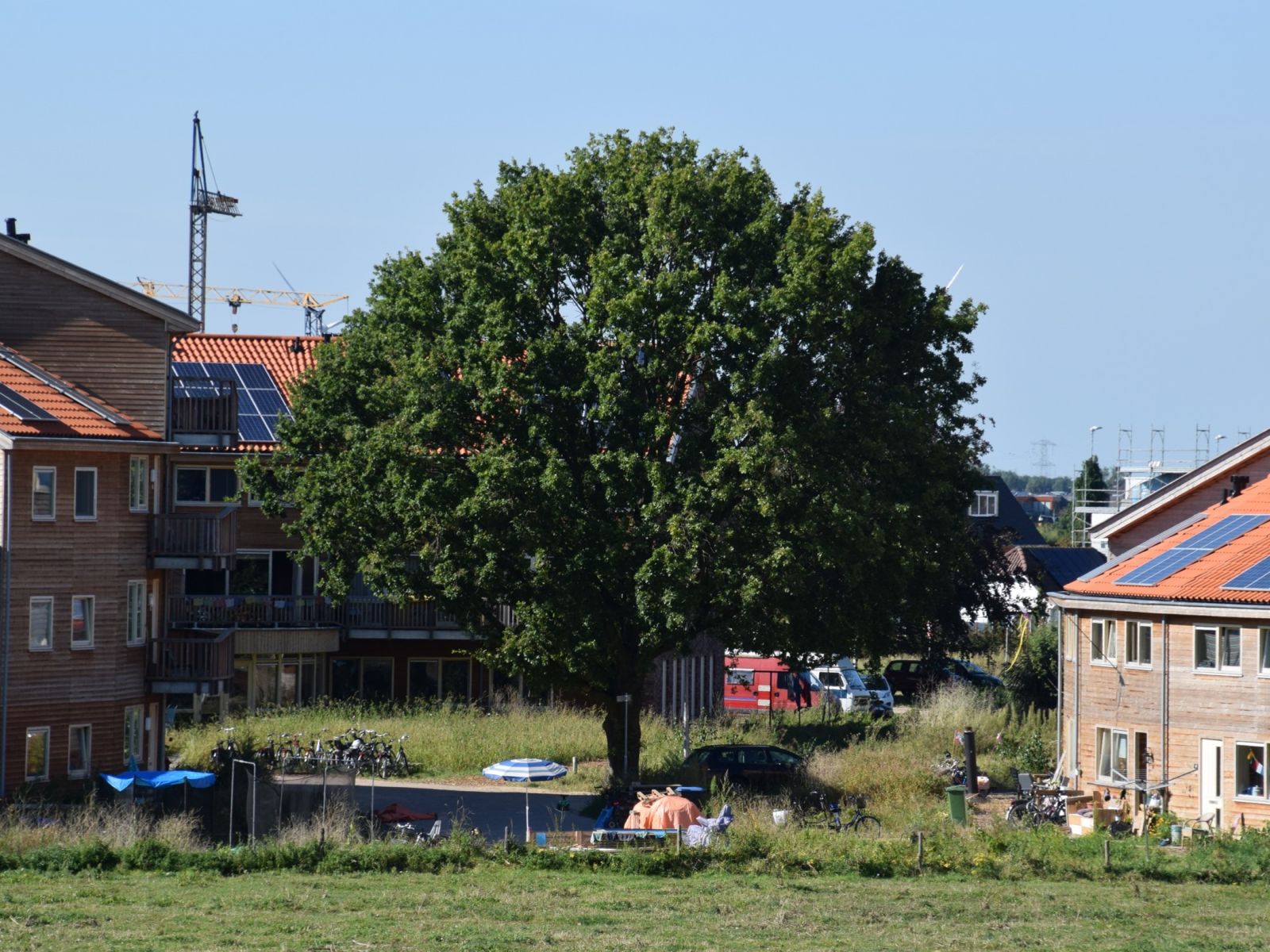 Foto: Woongemeeschap Eikpunt, Lent