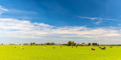 platteland