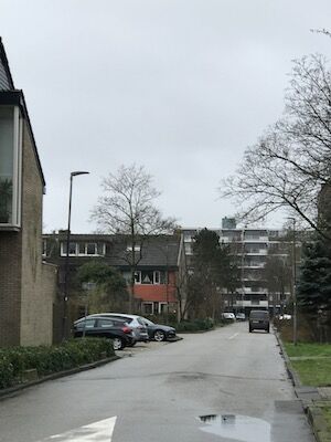 molenwijk haarlem