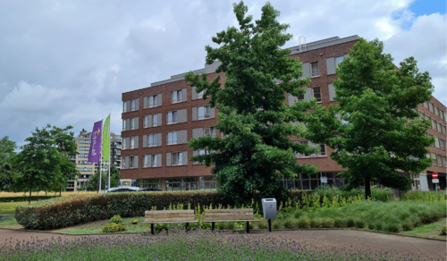 Zuiderpark Eindhoven, Foto: Freekje Groenemans