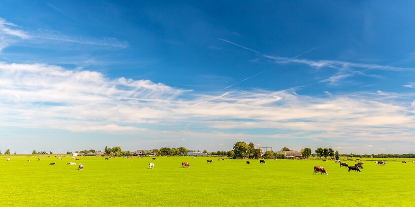 platteland