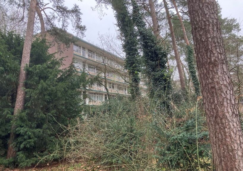Zeist Zuid