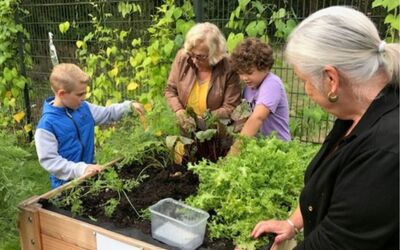 Zorgcoöperatie Austerlitz