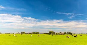 platteland