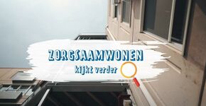 zsw