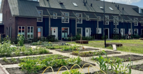 Hugo's Tuin